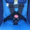 5 Point Harness 2021