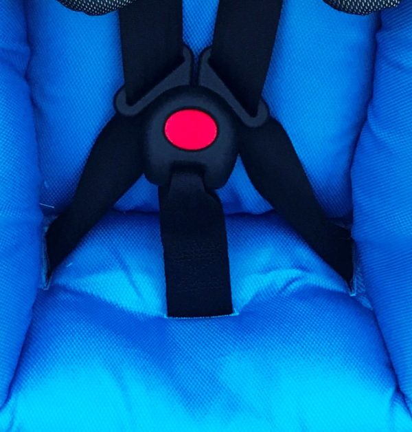 5 Point Harness 2021 - Image 2